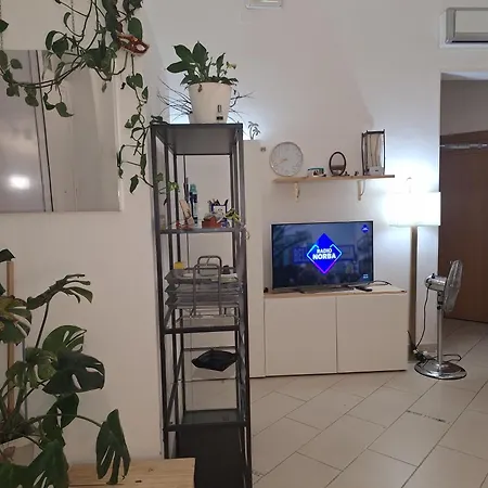 Lejlighed Via Tanzi 27 *