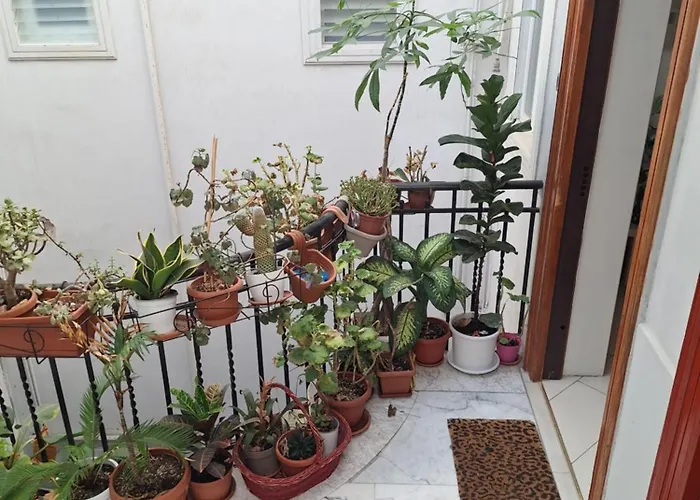 Via Tanzi 27 * 바리